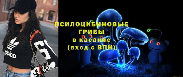 трава Арсеньев
