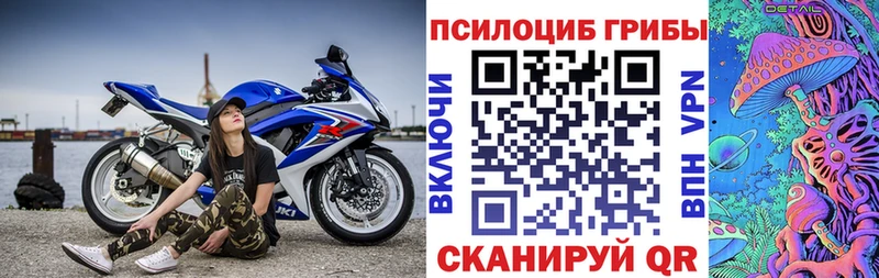 blacksprut ссылки Лобня Псилоцибиновые грибы ЛСД